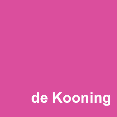 willem de kooning foundation client imaging4art