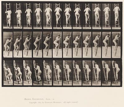 Eadweard Muybridge Ascending Ladder Plate 112