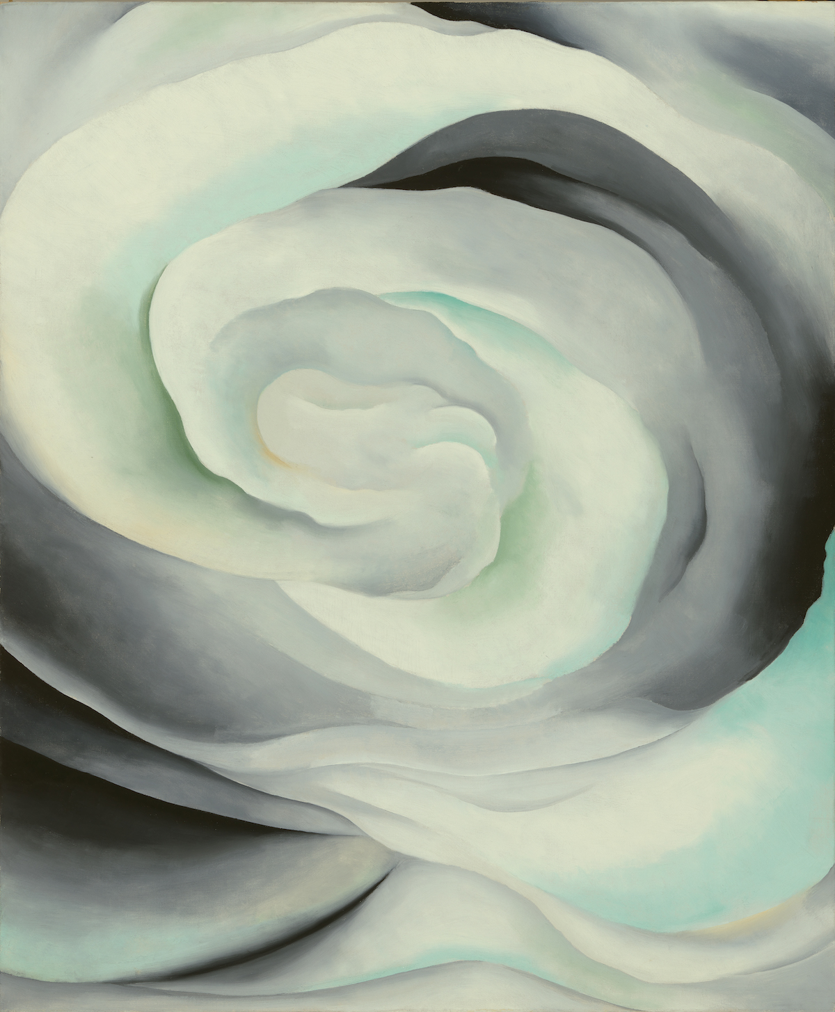 Georgia OKeeffe Abstraction White Rose