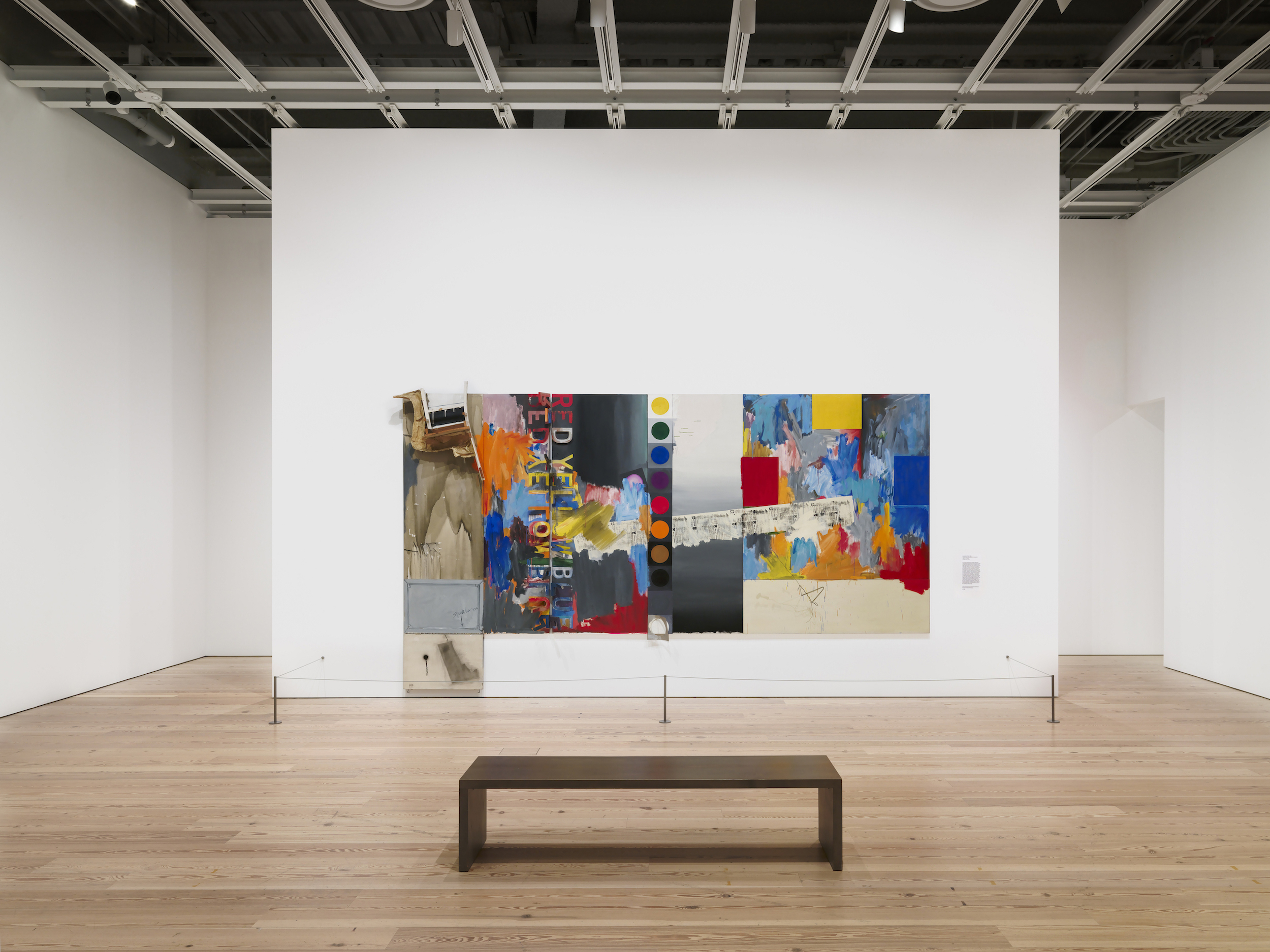 Installation view Jasper Johns: Mind/Mirror Whitney Museum of American Art New York