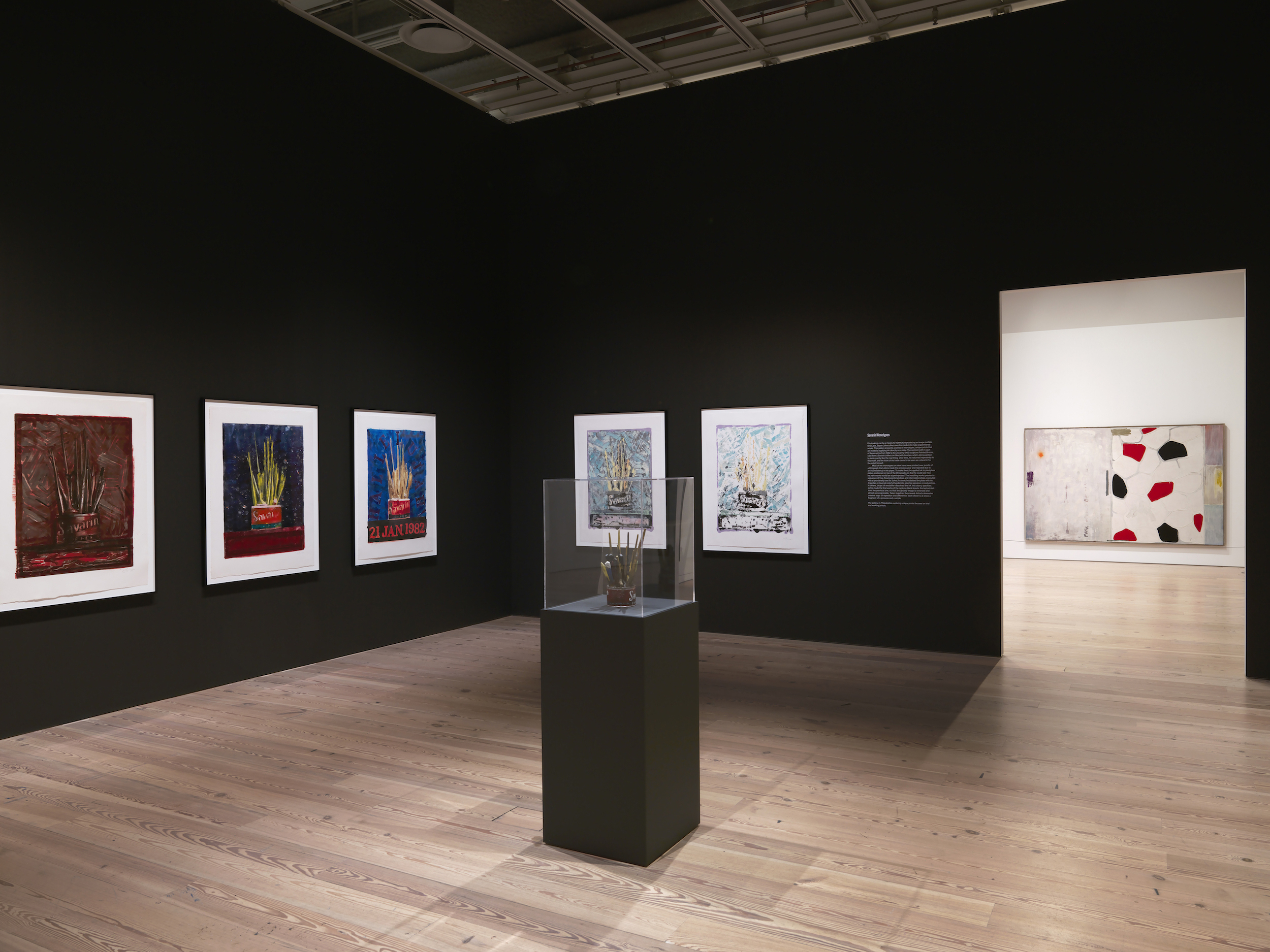 Installation view Jasper Johns: Mind/Mirror Savarin Whitney Museum of American Art New York