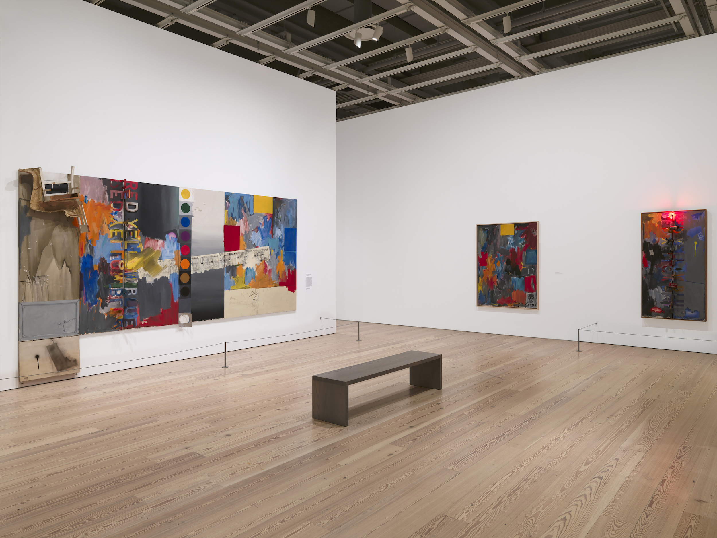 Installation view Jasper Johns: Mind/Mirror Whitney Museum of American Art New York