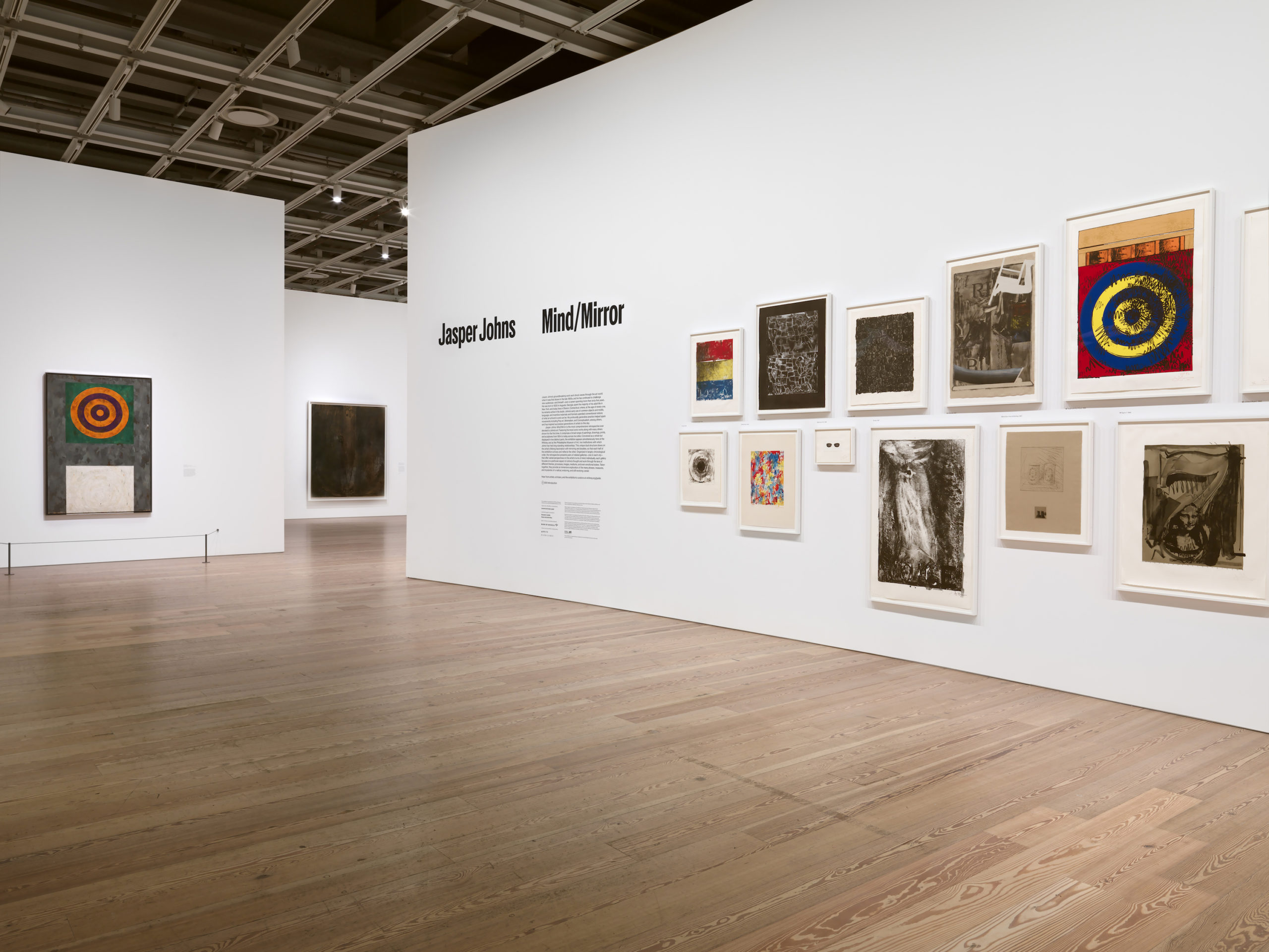 Installation view Jasper Johns Mind/Mirror Whitney Museum of American Art