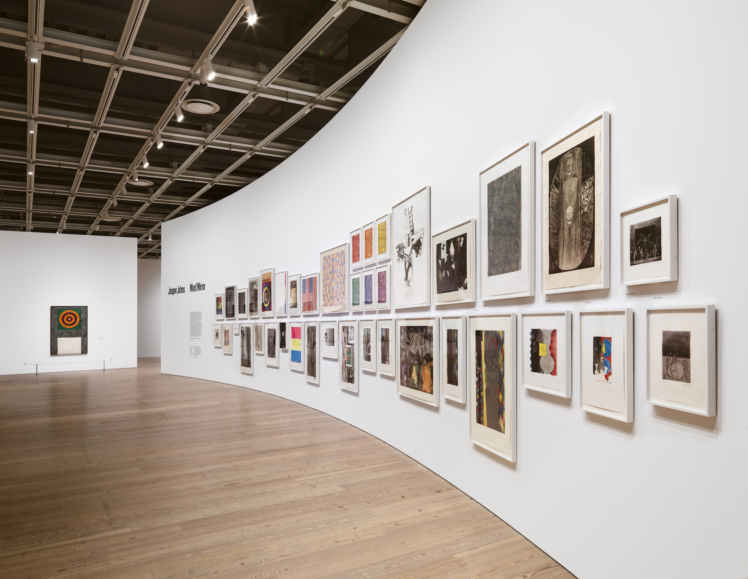 Installation view Jasper Johns: Mind/Mirror Whitney Museum of American Art New York