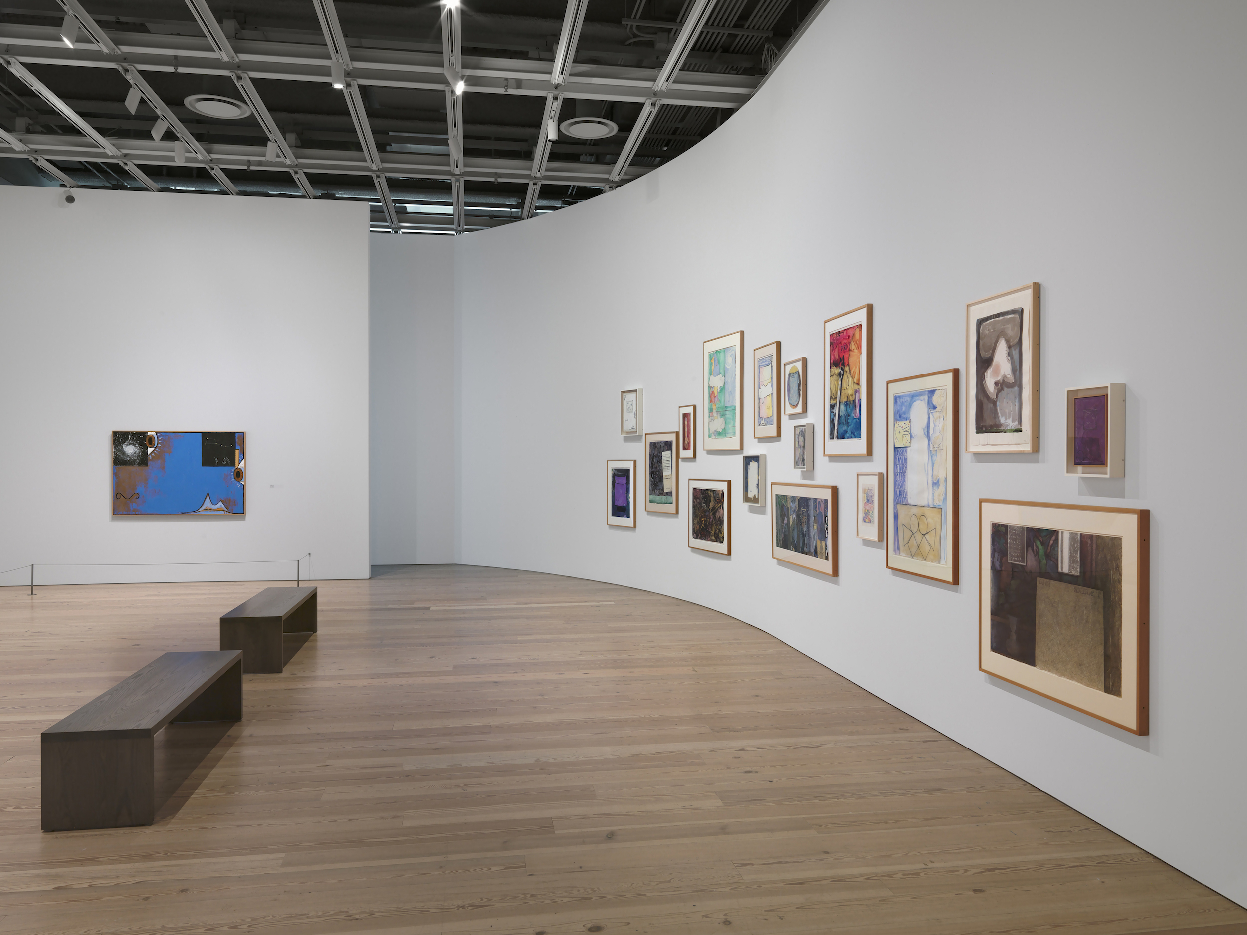 Installation view Jasper Johns: Mind/Mirror Whitney Museum of American Art, New York